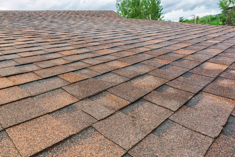 Gutter and Roof Maintenance