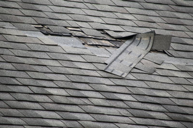 Shingle Replacement Process